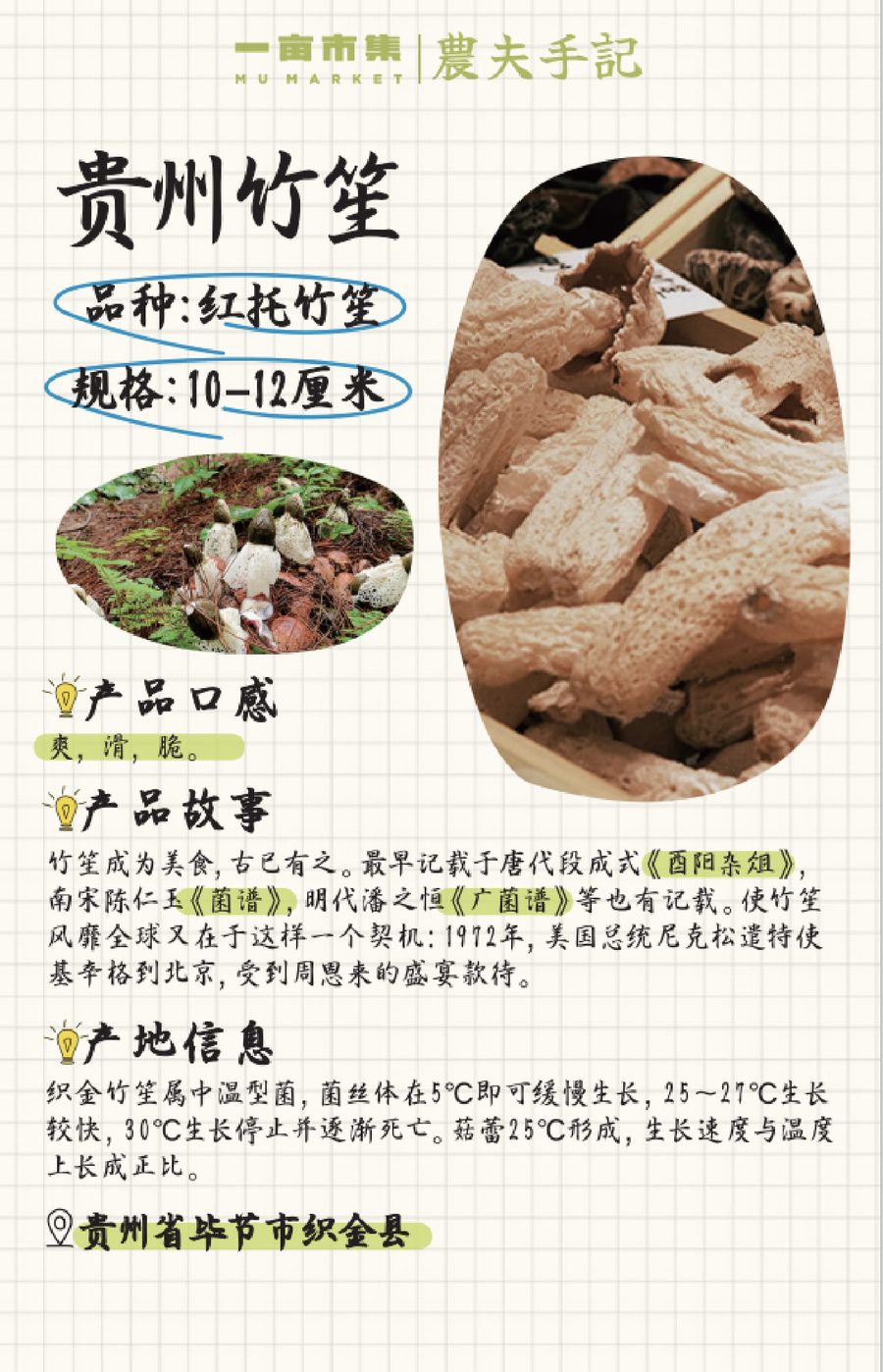 农夫手记 作品 3